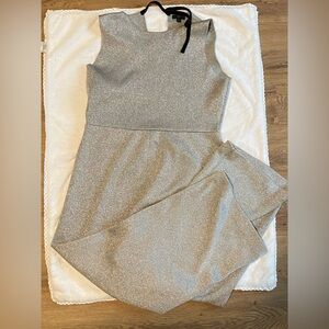 J. Crew Shimmering Grey Jumpsuit